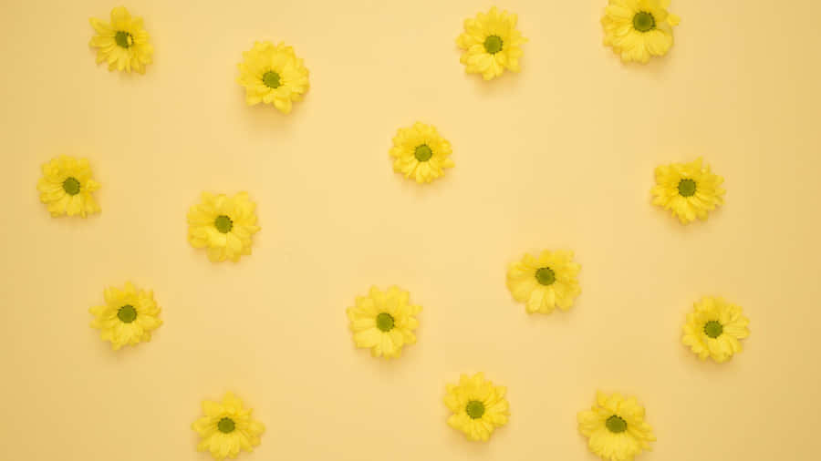 Dreaming Up Big Ideas With Daisy Laptop. Wallpaper