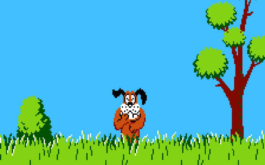 Download free Duck Hunt Laughing Dog Wallpaper - MrWallpaper.com