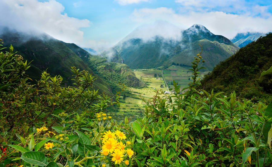 Landscape, Ecuador Landscape HD wallpaper | Pxfuel