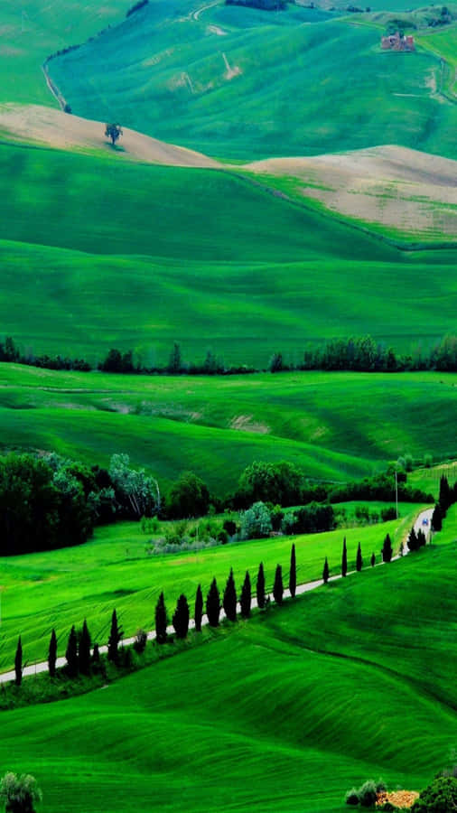 Embrace Nature With The Latest Technology! Wallpaper