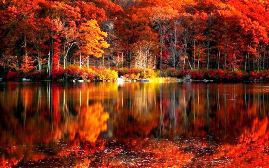 Embrace The Bright Colors Of A Perfect Fall Wallpaper