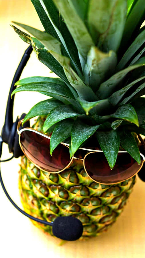 Embrace The Cool! Wallpaper