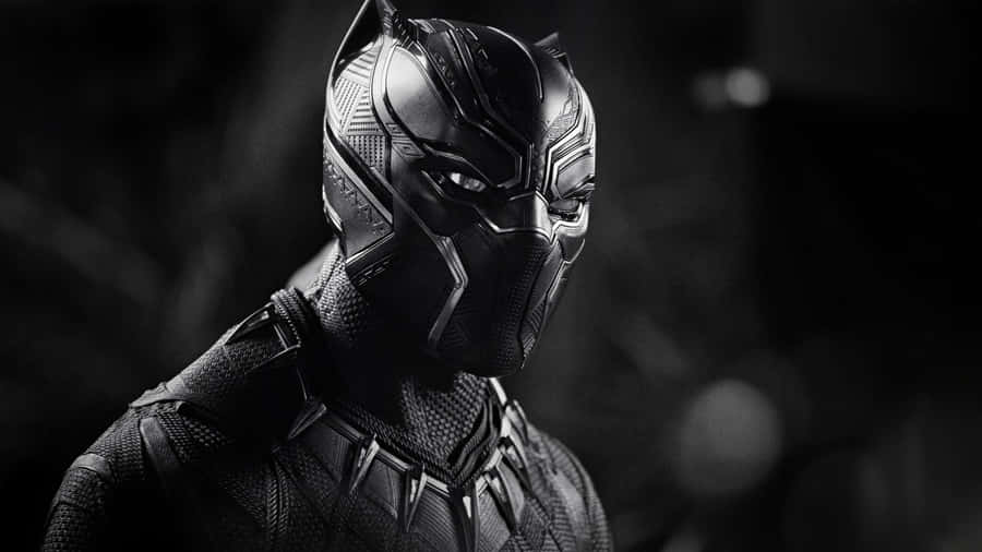 Embrace The Wild Side Of Nature With Black Panther Landscape Wallpaper
