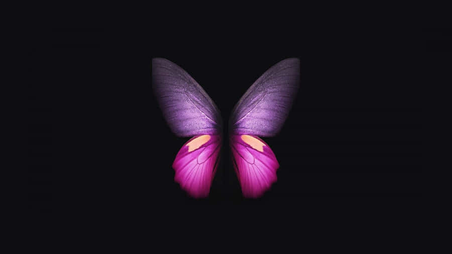 Enchanting Dark Butterfly On A Mysterious Background Wallpaper