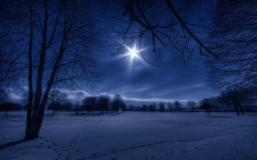 Enjoy A Tranquil Winter Night With A Peaceful Desktop Wallpaper Wallpaper