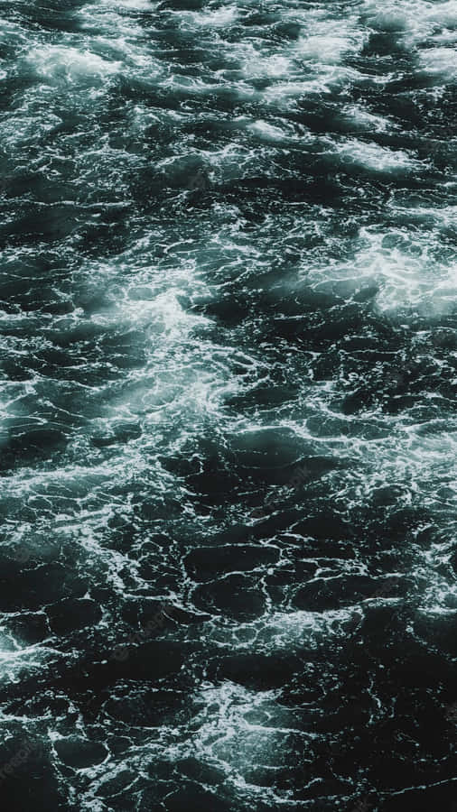 Enjoy Freedom And Explore The Blue World. Wallpaper