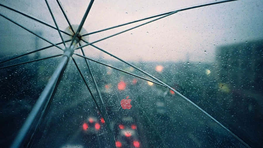 Enjoy The Beauty Of A Rainy Day. Wallpaper