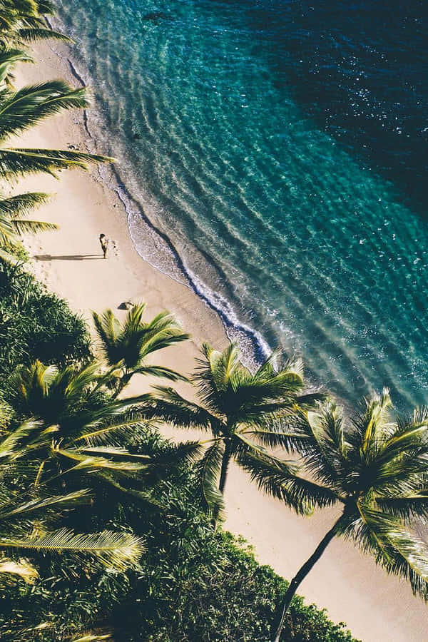 Enjoy The Beauty Of Nature! Wallpaper