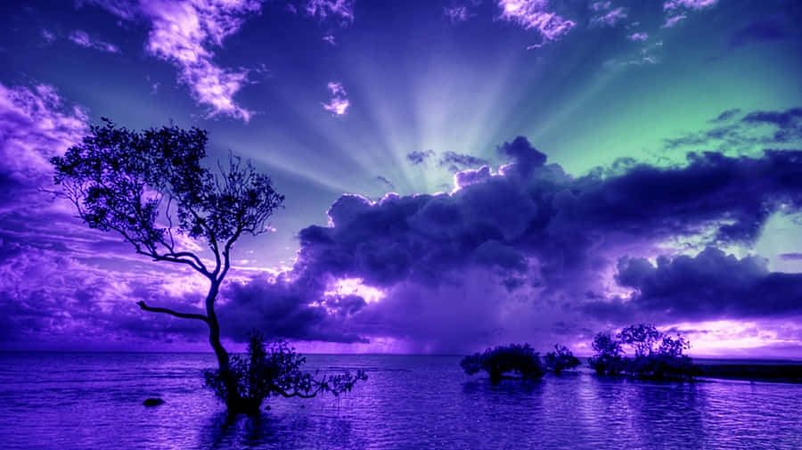 Enjoy The Beauty Of Nature As The Sky Above Is Illuminated In A Stunning Array Of Blue And Purple During Sunset. Wallpaper