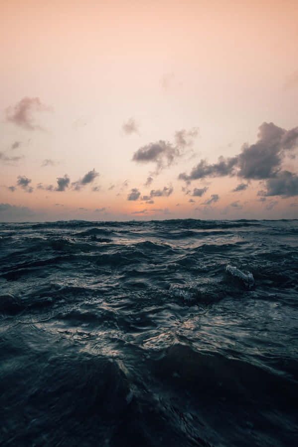 Enjoy The Beauty Of Nature On Your Ipad Wallpaper
