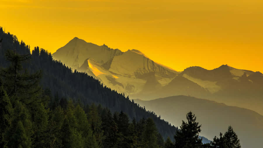Enjoy The Tranquility Of Nature Wallpaper