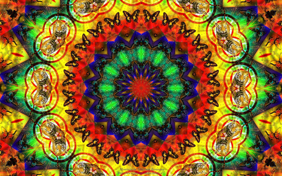 Enjoy The Vibes And Style With A Hippie Aesthetic Laptop Wallpaper