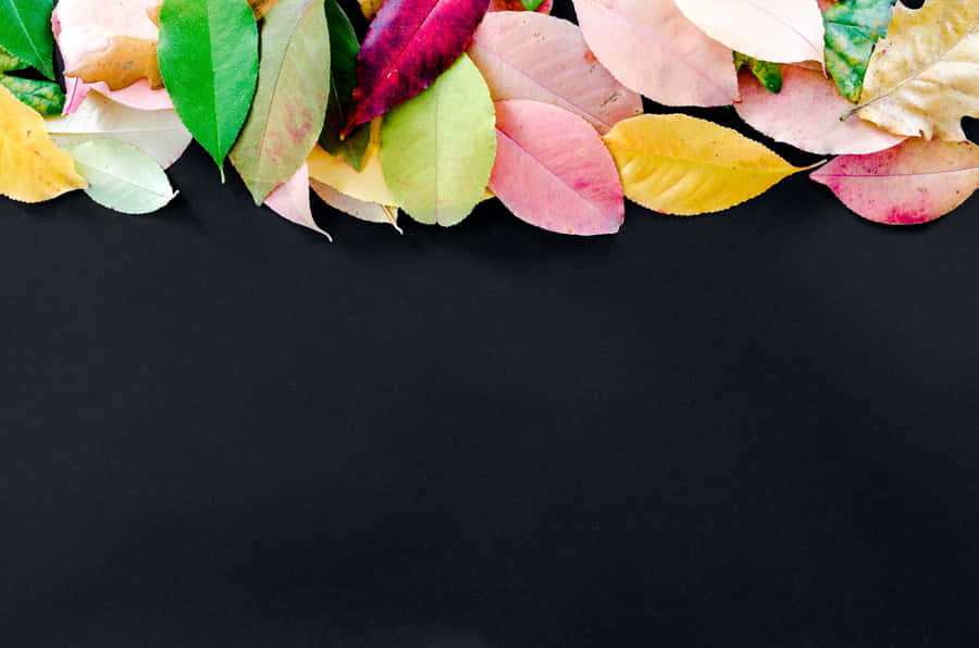 Enjoy The Views Of Crisp November Fall Wallpaper
