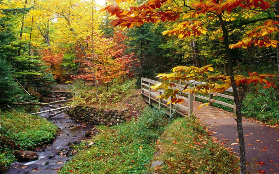 Enjoying A Beautiful Summer Day In New England Wallpaper