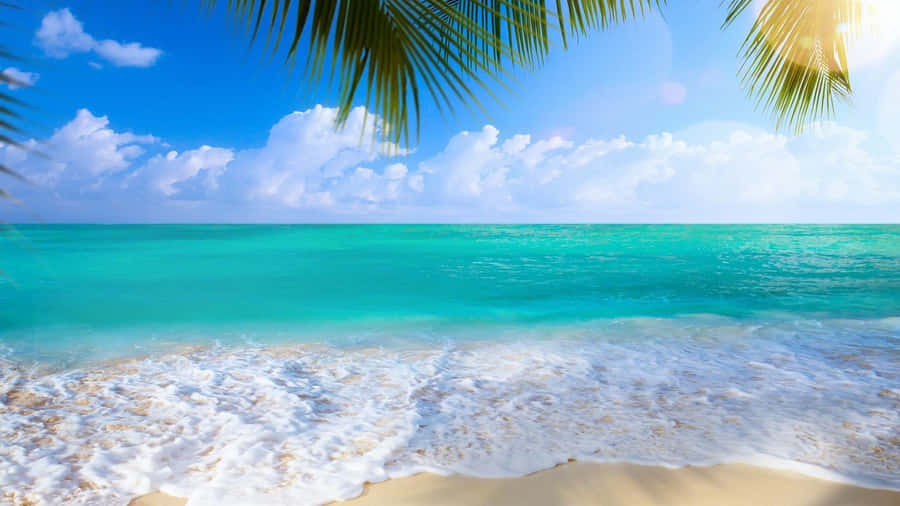 Enjoying A Glorious Summer Day Wallpaper