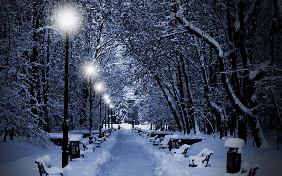 Enjoying A Snowy Winter Wonderland Wallpaper