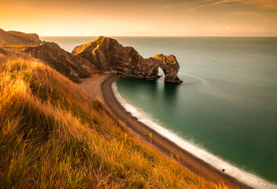 Enjoying Nature's Scenic View Of Google Wallpaper