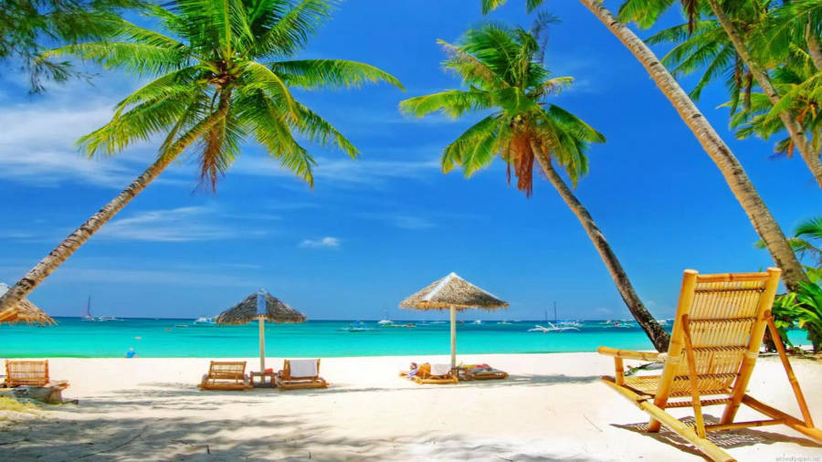 Enjoying Summer In 4k - Picture Taken By Lillian O'malley Wallpaper