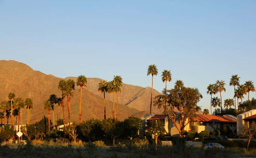 “enjoying Summer In Southern California” Wallpaper