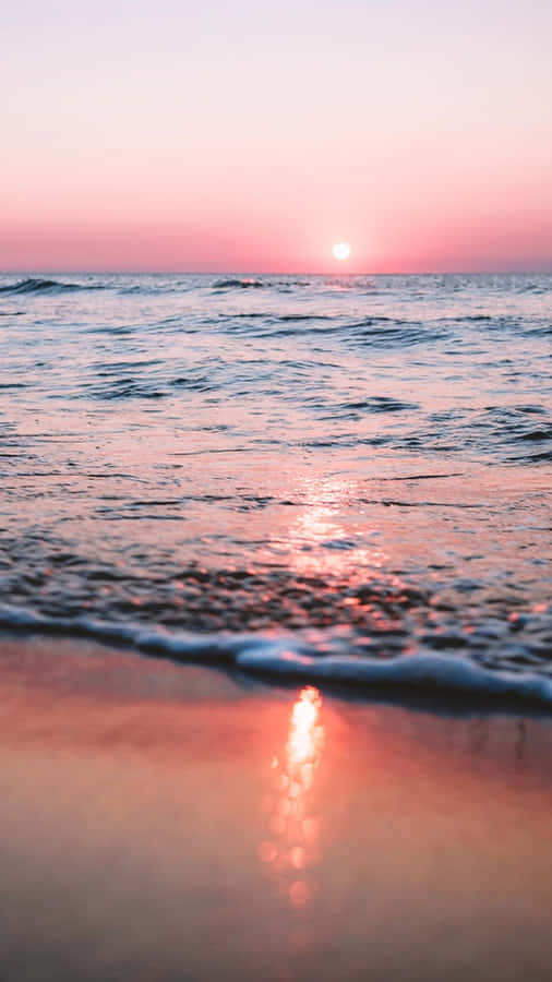 Enjoying The Summertime Sunshine Wallpaper