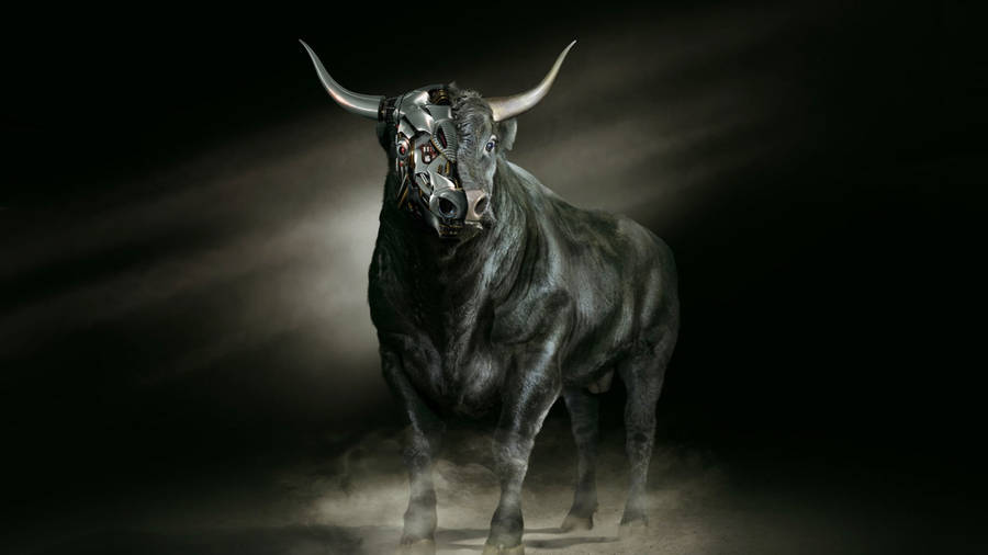 Essence Of Tradition - The Bull Taming Event Jallikattu Wallpaper