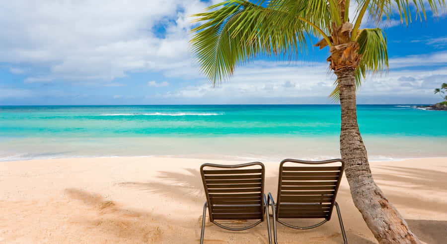 Exotic Relaxing Scenery [wallpaper] Wallpaper