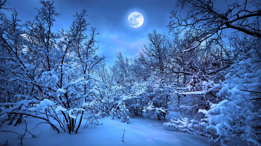 Experience Productivity On The Go With A Laptop In The Winter. Wallpaper