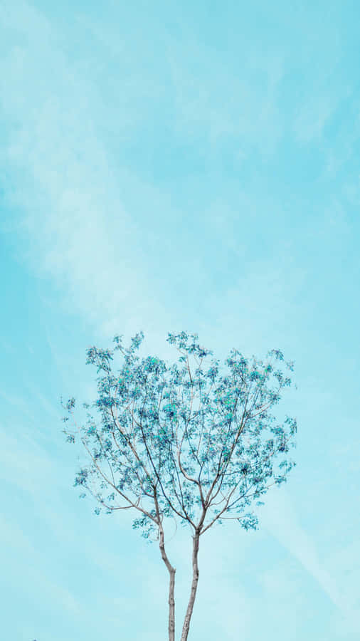 Experience The Beauty Of A Minimalist Flower. Wallpaper