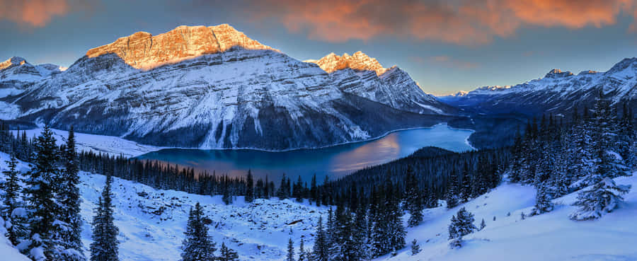 Experience The Majesty Of The Mountains Wallpaper