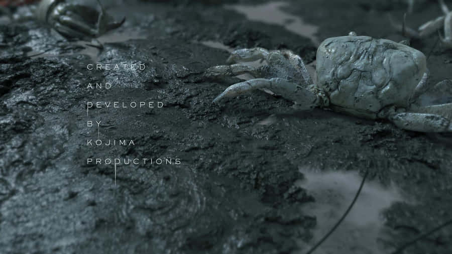 Explore The World Of Death Stranding On Pc Wallpaper