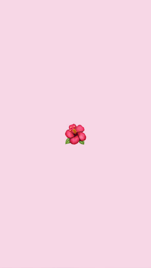 'exploring The World With A Vsco Vibe' Wallpaper