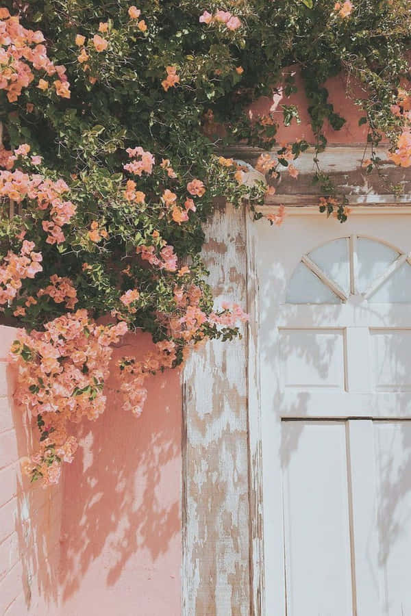 Exquisite Vintage Peach Wallpaper