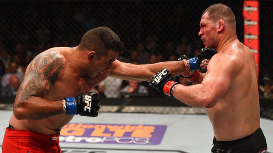 Fabricio Werdum And Cain Velasquez Wallpaper