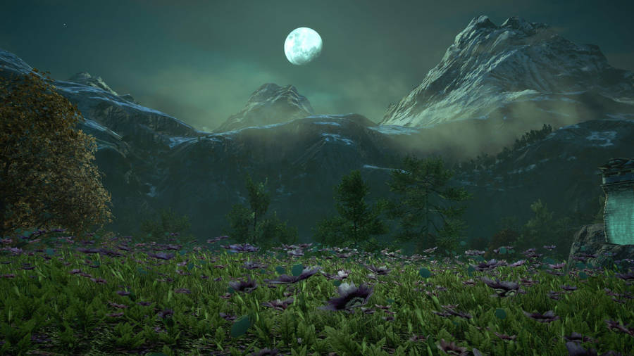 Download free Far Cry 4 Moon Field Wallpaper - MrWallpaper.com