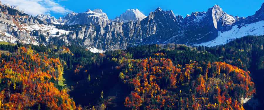 Feel The Gorgeous Change Of Season In The Majestic Fall Mountain Wallpaper