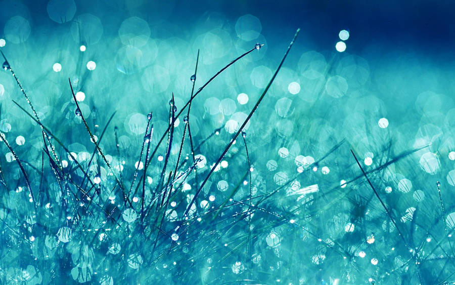 Feeling The Rain On A Cloudy Day. Wallpaper