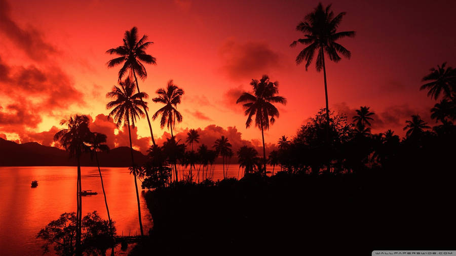 fiji sunset at matagi island vbp9y7qtr7qcjmtq