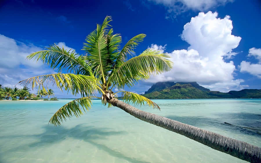 Find Peace In Nature Wallpaper