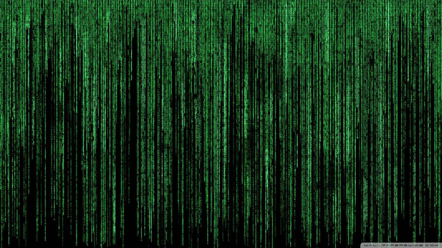 I want a matrix wallpaper din a3 on Craiyon