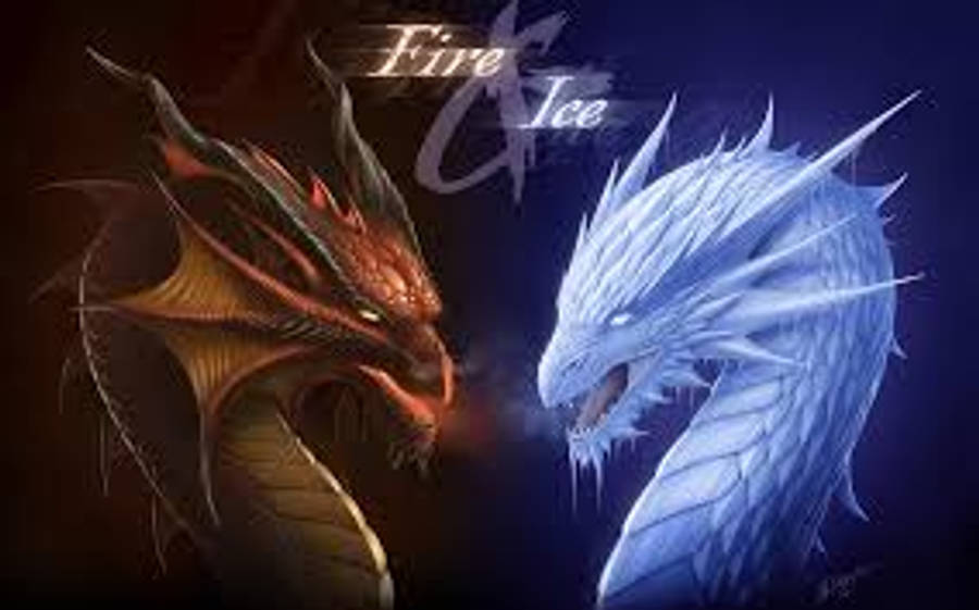 Fire And Ice Really Cool Dragons Wallpaper