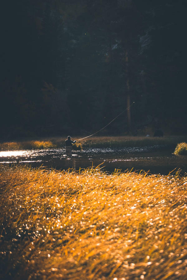 Fishing Person In River Wallpaper