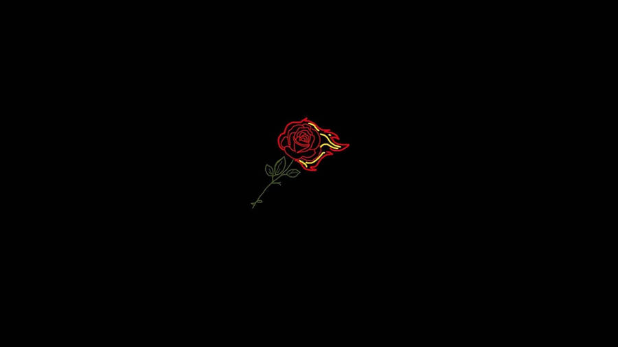 Download free Flaming Rose Aesthetic Profile Wallpaper - MrWallpaper.com