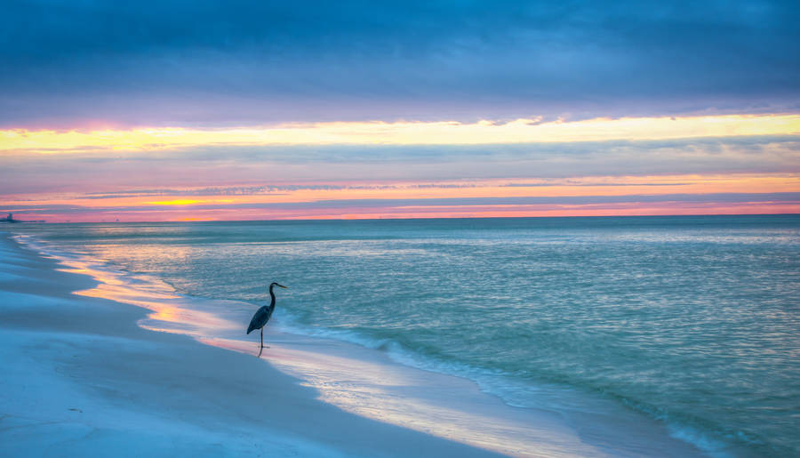 Download free Florida Seaside Sunrise Wallpaper - MrWallpaper.com