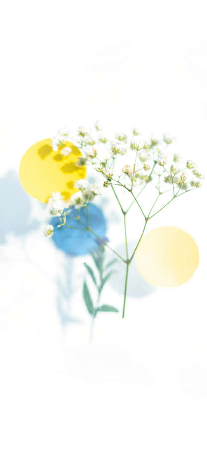 Flowers Cool Design Iphone Wallpaper