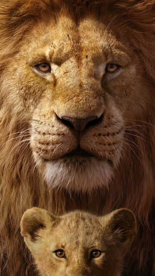 Follow Your Heart And Find Your Light Wallpaper