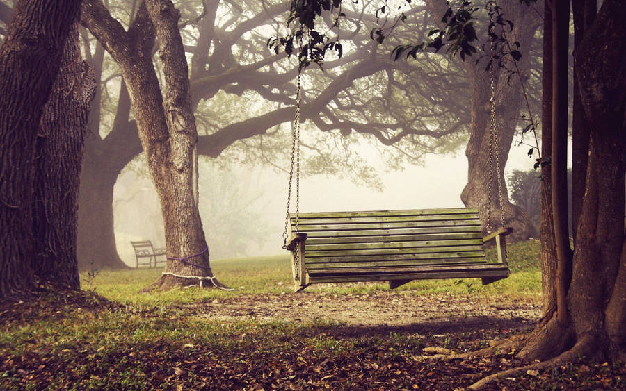 Download free Serene Park View With Classic Wooden Bench Wallpaper -  MrWallpaper.com