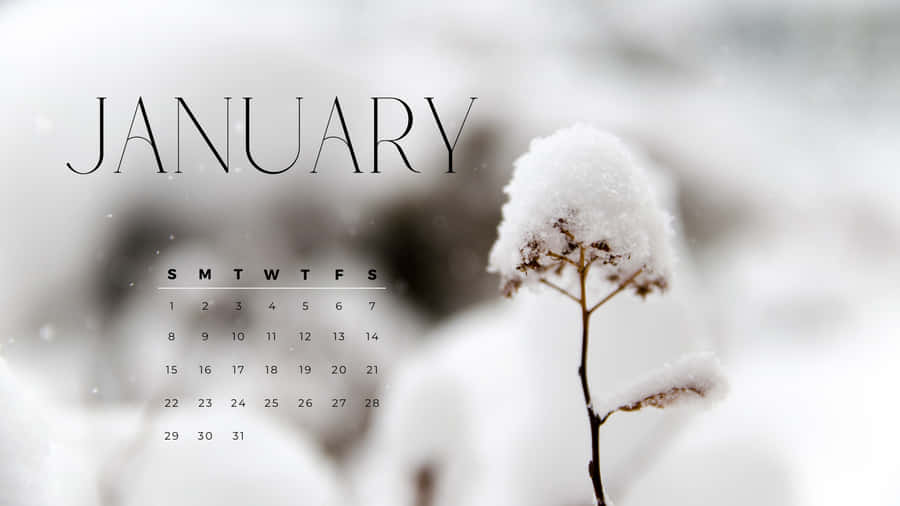 Forget What Has Passed And Welcome The New Beginnings In January. Wallpaper