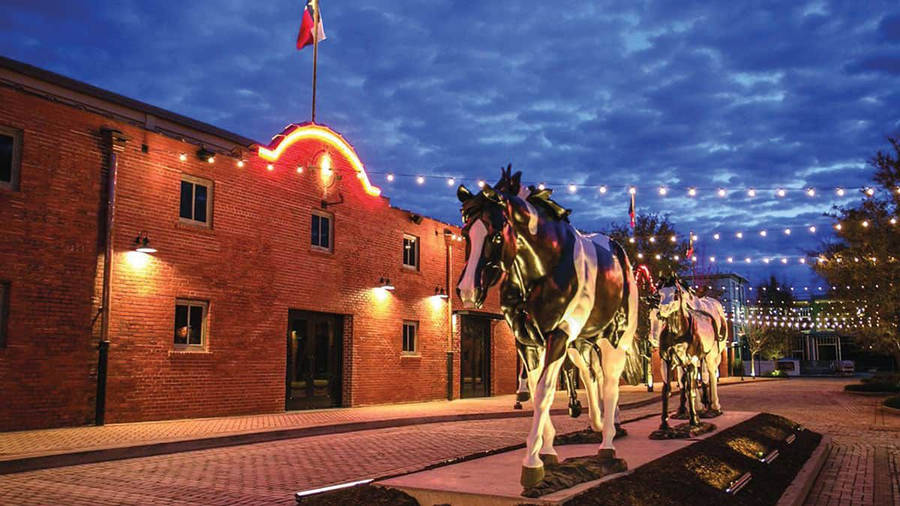 Fort Worth Legendary Horse Statue Wallpaper
