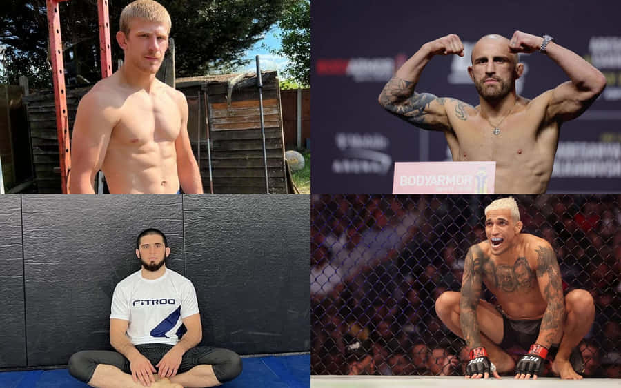 Four Fight Arnold Allen Wallpaper