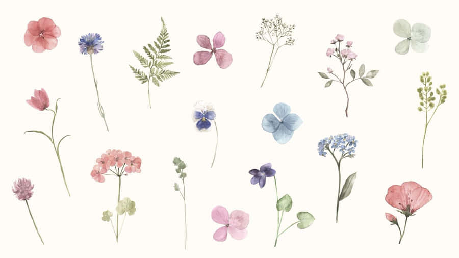 Get Better Productivity With A Plant Aesthetic Laptop Wallpaper